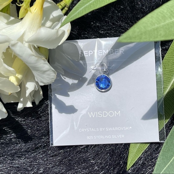 2017 Origami Owl September Sapphire Wisdom Birthstone Dangle  Core Momen… - Picture 1 of 4